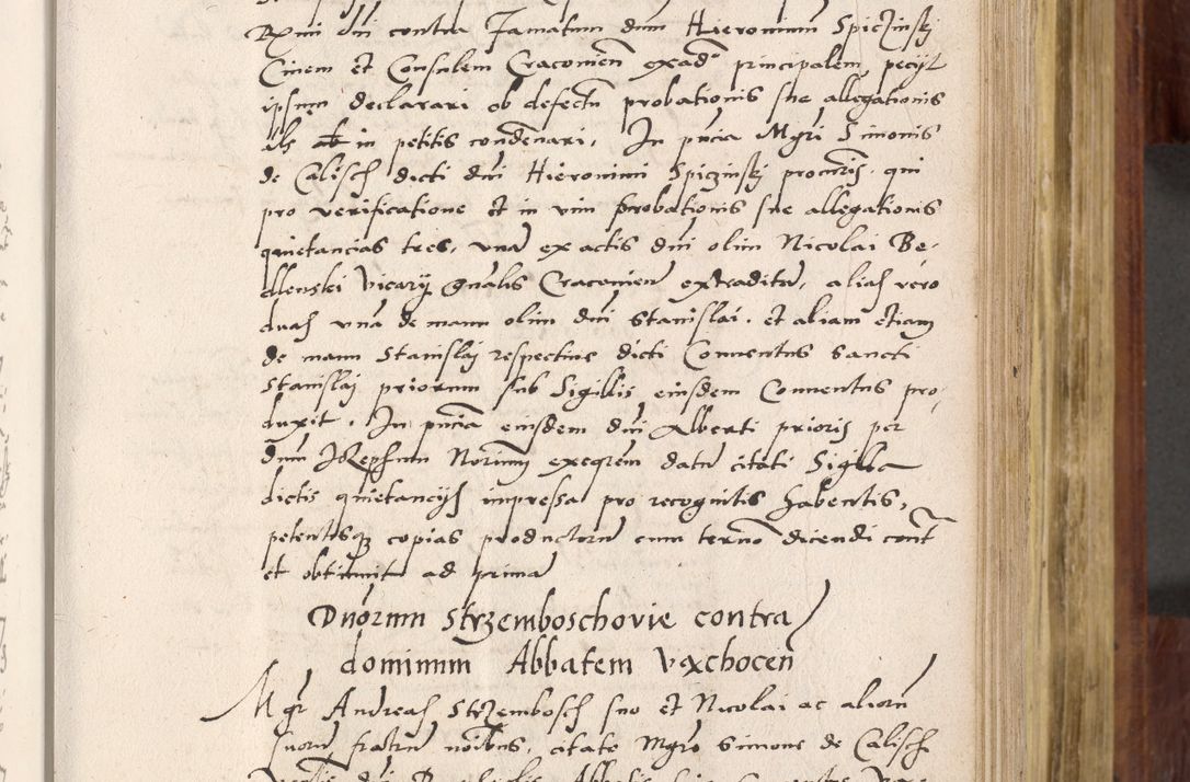 Zdjęcie nr 320 dla obiektu archiwalnego: Acta actorum coram R. D. Petro de Gamratis, nominati archiepiscopi Gnesnensis, episcopi Cracoviensis per annos 1541 et 1542 acticatorum, praesidente tunc curiase suae R. D. Bartholomaeo Gantkowski, canonico Cracoviensi, Posnaniensi cancellario, parochialis in Konopisca etc. rectore.