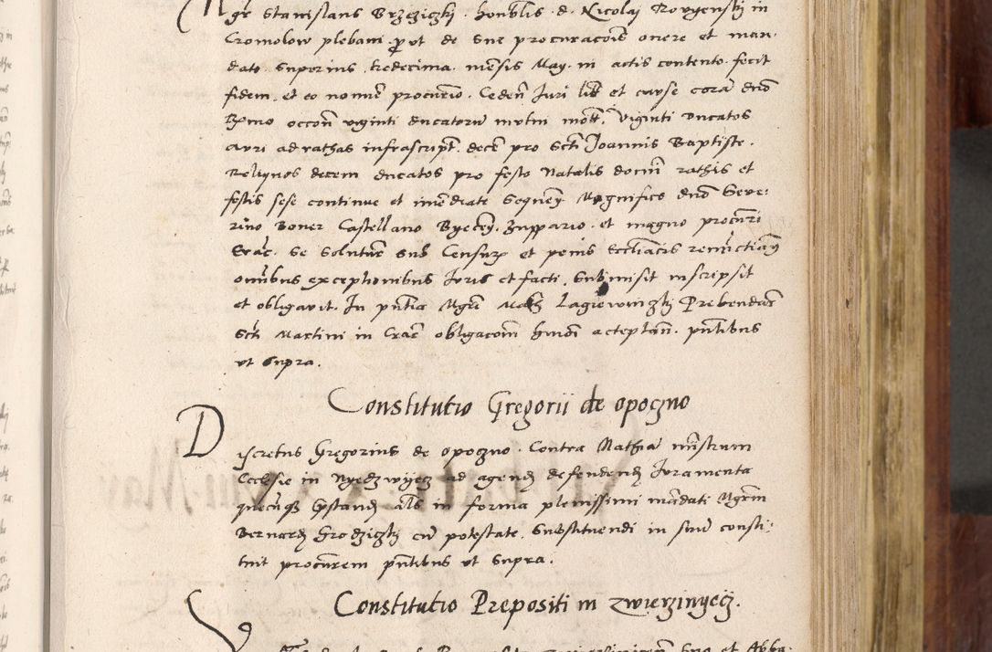 Zdjęcie nr 294 dla obiektu archiwalnego: Acta actorum coram R. D. Petro de Gamratis, nominati archiepiscopi Gnesnensis, episcopi Cracoviensis per annos 1541 et 1542 acticatorum, praesidente tunc curiase suae R. D. Bartholomaeo Gantkowski, canonico Cracoviensi, Posnaniensi cancellario, parochialis in Konopisca etc. rectore.