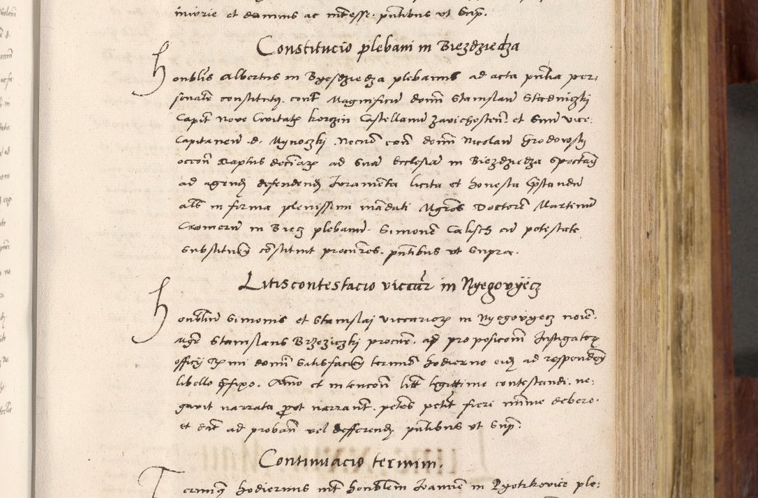 Zdjęcie nr 286 dla obiektu archiwalnego: Acta actorum coram R. D. Petro de Gamratis, nominati archiepiscopi Gnesnensis, episcopi Cracoviensis per annos 1541 et 1542 acticatorum, praesidente tunc curiase suae R. D. Bartholomaeo Gantkowski, canonico Cracoviensi, Posnaniensi cancellario, parochialis in Konopisca etc. rectore.