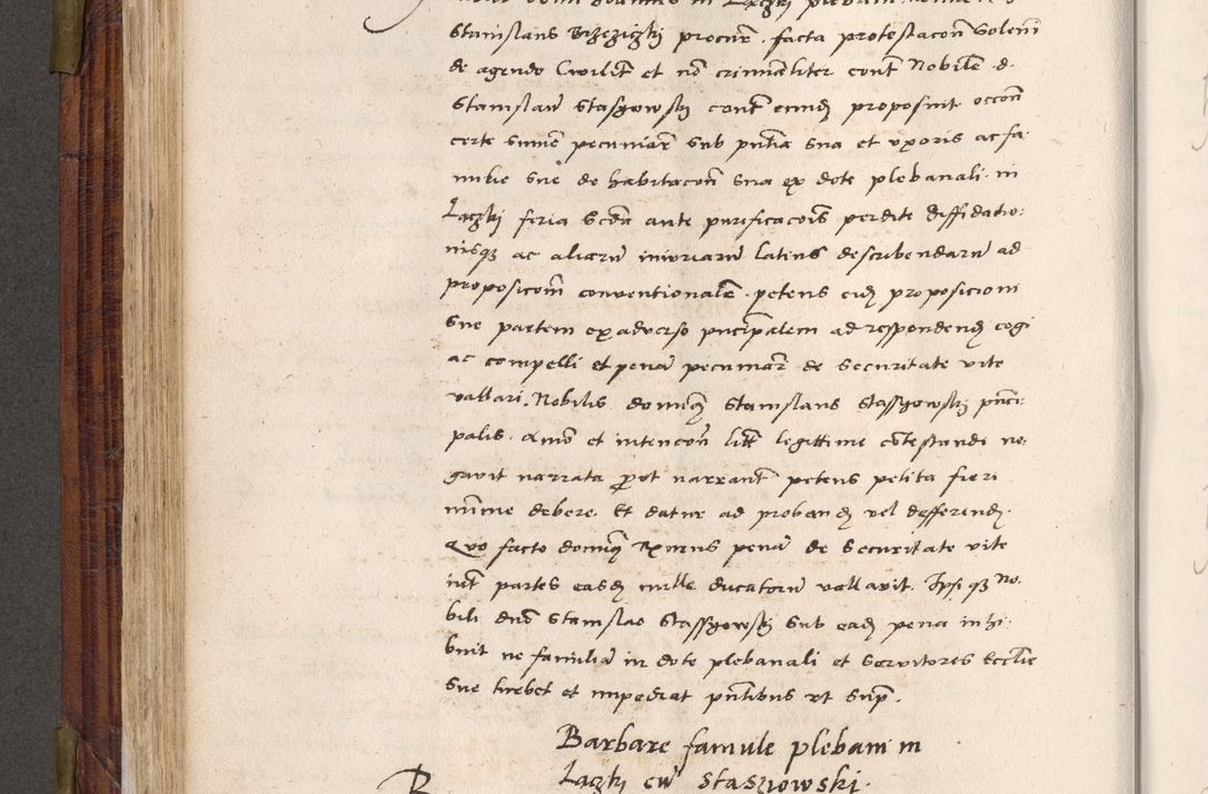 Zdjęcie nr 285 dla obiektu archiwalnego: Acta actorum coram R. D. Petro de Gamratis, nominati archiepiscopi Gnesnensis, episcopi Cracoviensis per annos 1541 et 1542 acticatorum, praesidente tunc curiase suae R. D. Bartholomaeo Gantkowski, canonico Cracoviensi, Posnaniensi cancellario, parochialis in Konopisca etc. rectore.