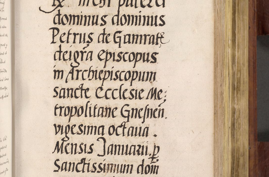 Zdjęcie nr 258 dla obiektu archiwalnego: Acta actorum coram R. D. Petro de Gamratis, nominati archiepiscopi Gnesnensis, episcopi Cracoviensis per annos 1541 et 1542 acticatorum, praesidente tunc curiase suae R. D. Bartholomaeo Gantkowski, canonico Cracoviensi, Posnaniensi cancellario, parochialis in Konopisca etc. rectore.