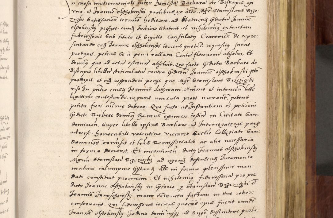 Zdjęcie nr 220 dla obiektu archiwalnego: Acta actorum coram R. D. Petro de Gamratis, nominati archiepiscopi Gnesnensis, episcopi Cracoviensis per annos 1541 et 1542 acticatorum, praesidente tunc curiase suae R. D. Bartholomaeo Gantkowski, canonico Cracoviensi, Posnaniensi cancellario, parochialis in Konopisca etc. rectore.