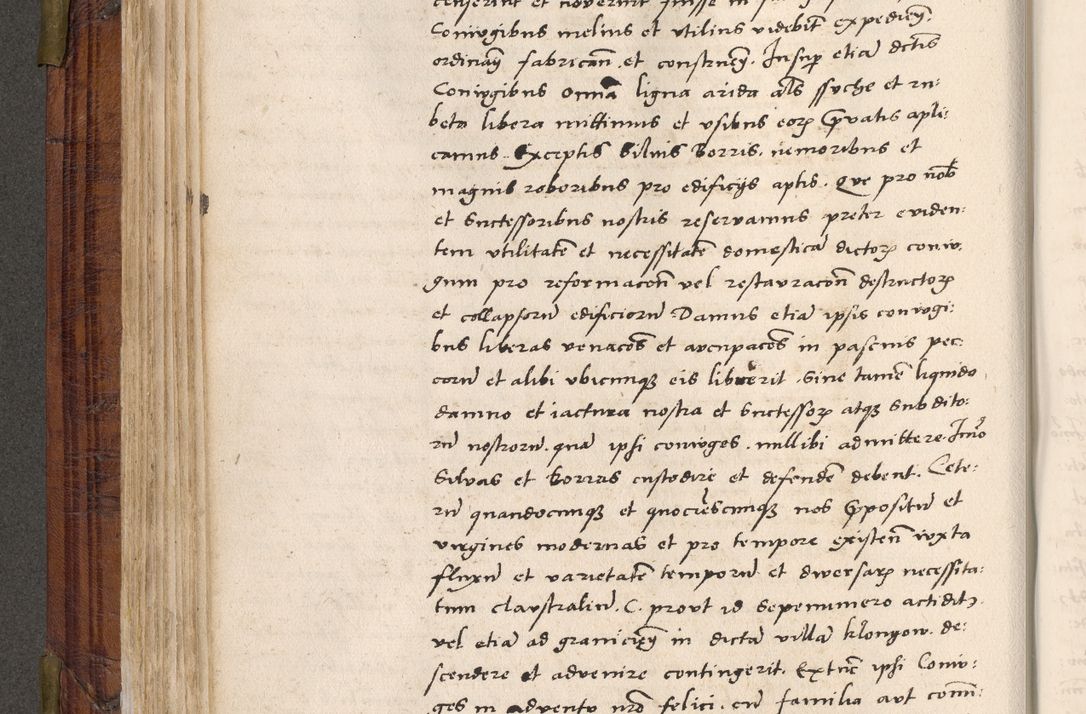 Zdjęcie nr 191 dla obiektu archiwalnego: Acta actorum coram R. D. Petro de Gamratis, nominati archiepiscopi Gnesnensis, episcopi Cracoviensis per annos 1541 et 1542 acticatorum, praesidente tunc curiase suae R. D. Bartholomaeo Gantkowski, canonico Cracoviensi, Posnaniensi cancellario, parochialis in Konopisca etc. rectore.