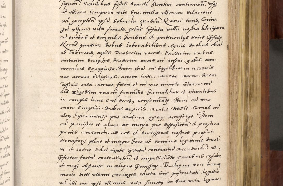 Zdjęcie nr 192 dla obiektu archiwalnego: Acta actorum coram R. D. Petro de Gamratis, nominati archiepiscopi Gnesnensis, episcopi Cracoviensis per annos 1541 et 1542 acticatorum, praesidente tunc curiase suae R. D. Bartholomaeo Gantkowski, canonico Cracoviensi, Posnaniensi cancellario, parochialis in Konopisca etc. rectore.