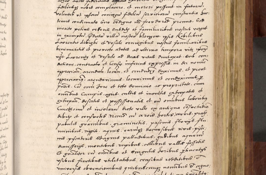 Zdjęcie nr 190 dla obiektu archiwalnego: Acta actorum coram R. D. Petro de Gamratis, nominati archiepiscopi Gnesnensis, episcopi Cracoviensis per annos 1541 et 1542 acticatorum, praesidente tunc curiase suae R. D. Bartholomaeo Gantkowski, canonico Cracoviensi, Posnaniensi cancellario, parochialis in Konopisca etc. rectore.