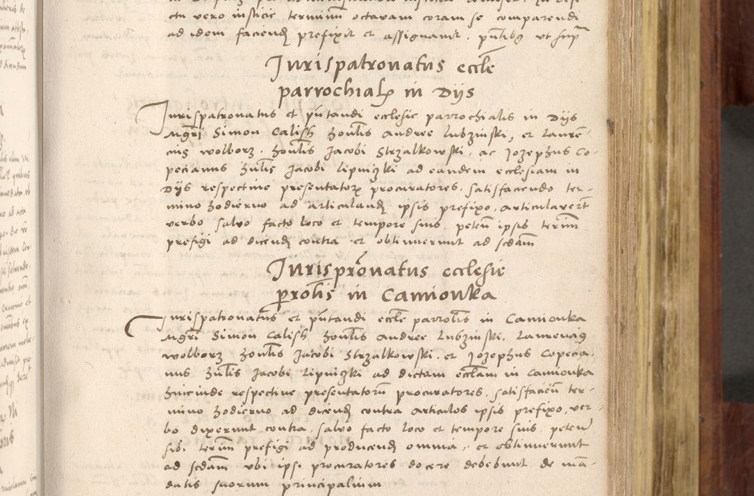 Zdjęcie nr 182 dla obiektu archiwalnego: Acta actorum coram R. D. Petro de Gamratis, nominati archiepiscopi Gnesnensis, episcopi Cracoviensis per annos 1541 et 1542 acticatorum, praesidente tunc curiase suae R. D. Bartholomaeo Gantkowski, canonico Cracoviensi, Posnaniensi cancellario, parochialis in Konopisca etc. rectore.