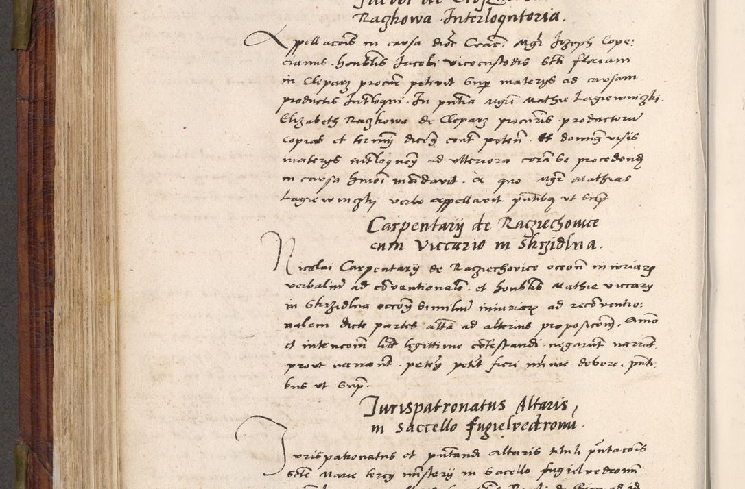 Zdjęcie nr 407 dla obiektu archiwalnego: Acta actorum coram R. D. Petro de Gamratis, nominati archiepiscopi Gnesnensis, episcopi Cracoviensis per annos 1541 et 1542 acticatorum, praesidente tunc curiase suae R. D. Bartholomaeo Gantkowski, canonico Cracoviensi, Posnaniensi cancellario, parochialis in Konopisca etc. rectore.