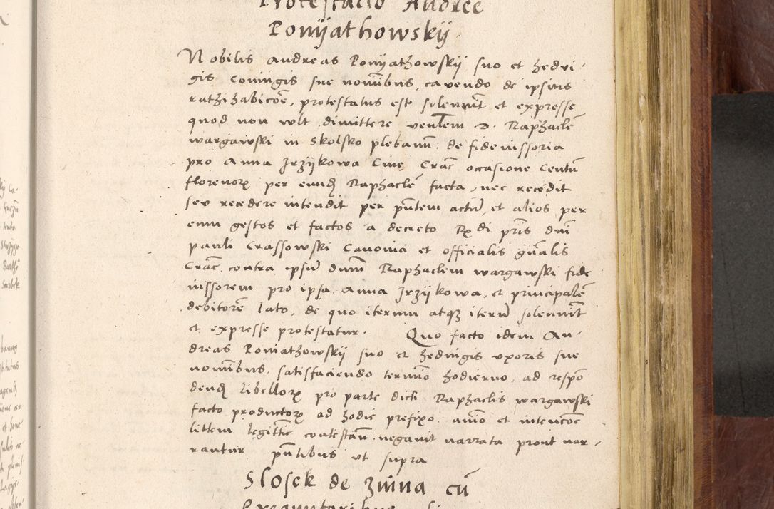 Zdjęcie nr 778 dla obiektu archiwalnego: Acta actorum coram R. D. Petro de Gamratis, nominati archiepiscopi Gnesnensis, episcopi Cracoviensis per annos 1541 et 1542 acticatorum, praesidente tunc curiase suae R. D. Bartholomaeo Gantkowski, canonico Cracoviensi, Posnaniensi cancellario, parochialis in Konopisca etc. rectore.