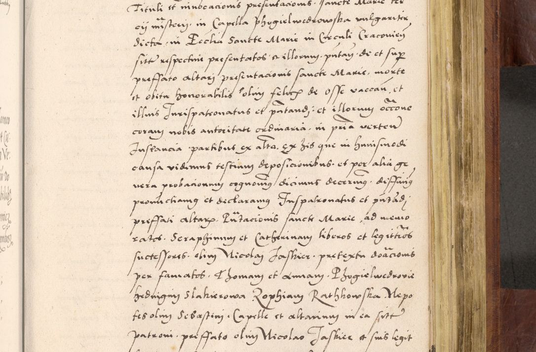 Zdjęcie nr 750 dla obiektu archiwalnego: Acta actorum coram R. D. Petro de Gamratis, nominati archiepiscopi Gnesnensis, episcopi Cracoviensis per annos 1541 et 1542 acticatorum, praesidente tunc curiase suae R. D. Bartholomaeo Gantkowski, canonico Cracoviensi, Posnaniensi cancellario, parochialis in Konopisca etc. rectore.