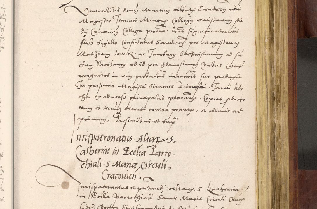 Zdjęcie nr 742 dla obiektu archiwalnego: Acta actorum coram R. D. Petro de Gamratis, nominati archiepiscopi Gnesnensis, episcopi Cracoviensis per annos 1541 et 1542 acticatorum, praesidente tunc curiase suae R. D. Bartholomaeo Gantkowski, canonico Cracoviensi, Posnaniensi cancellario, parochialis in Konopisca etc. rectore.