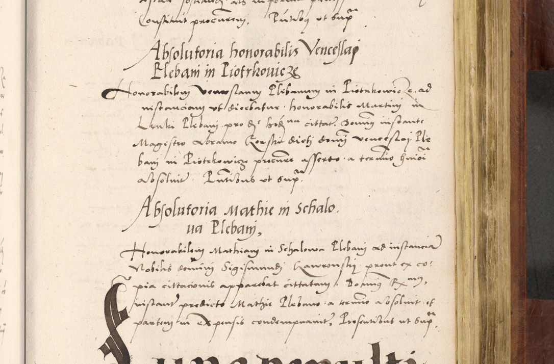 Zdjęcie nr 716 dla obiektu archiwalnego: Acta actorum coram R. D. Petro de Gamratis, nominati archiepiscopi Gnesnensis, episcopi Cracoviensis per annos 1541 et 1542 acticatorum, praesidente tunc curiase suae R. D. Bartholomaeo Gantkowski, canonico Cracoviensi, Posnaniensi cancellario, parochialis in Konopisca etc. rectore.