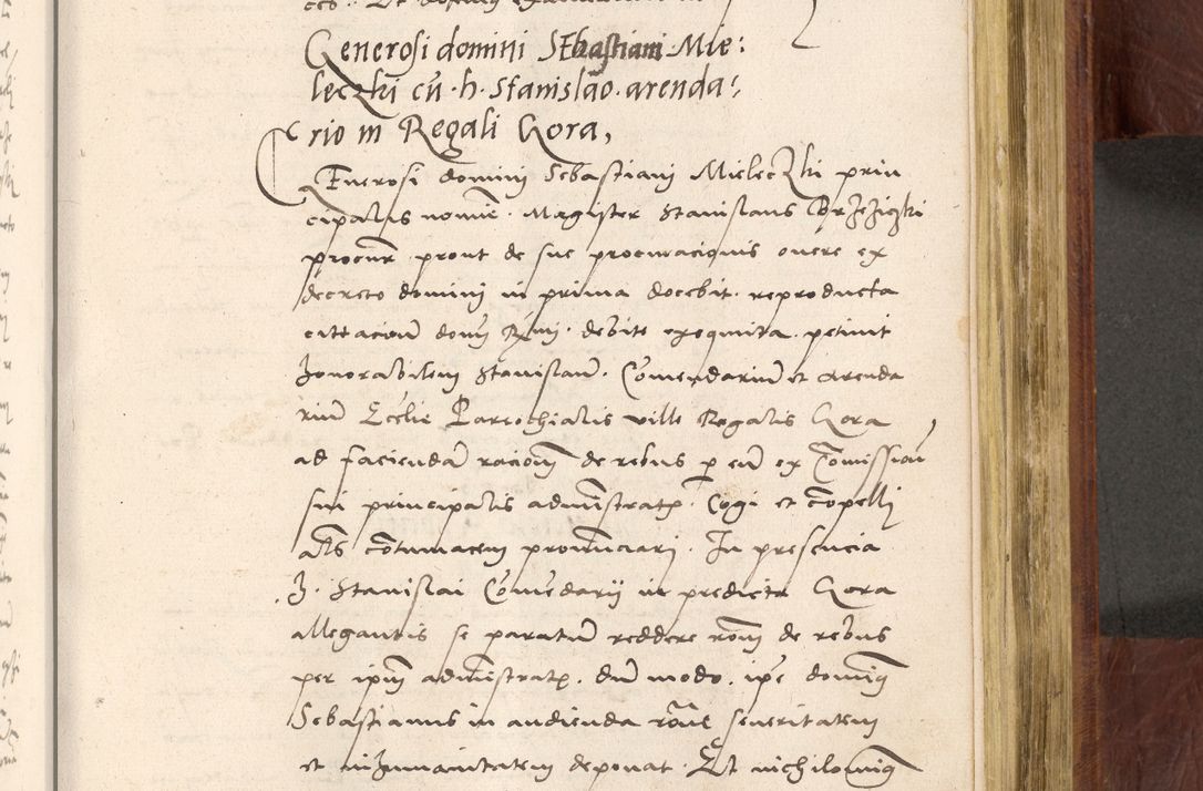 Zdjęcie nr 704 dla obiektu archiwalnego: Acta actorum coram R. D. Petro de Gamratis, nominati archiepiscopi Gnesnensis, episcopi Cracoviensis per annos 1541 et 1542 acticatorum, praesidente tunc curiase suae R. D. Bartholomaeo Gantkowski, canonico Cracoviensi, Posnaniensi cancellario, parochialis in Konopisca etc. rectore.