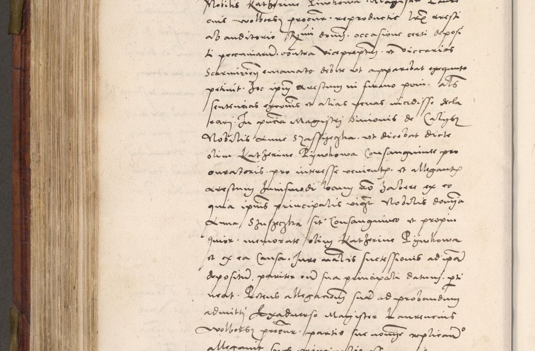 Zdjęcie nr 701 dla obiektu archiwalnego: Acta actorum coram R. D. Petro de Gamratis, nominati archiepiscopi Gnesnensis, episcopi Cracoviensis per annos 1541 et 1542 acticatorum, praesidente tunc curiase suae R. D. Bartholomaeo Gantkowski, canonico Cracoviensi, Posnaniensi cancellario, parochialis in Konopisca etc. rectore.