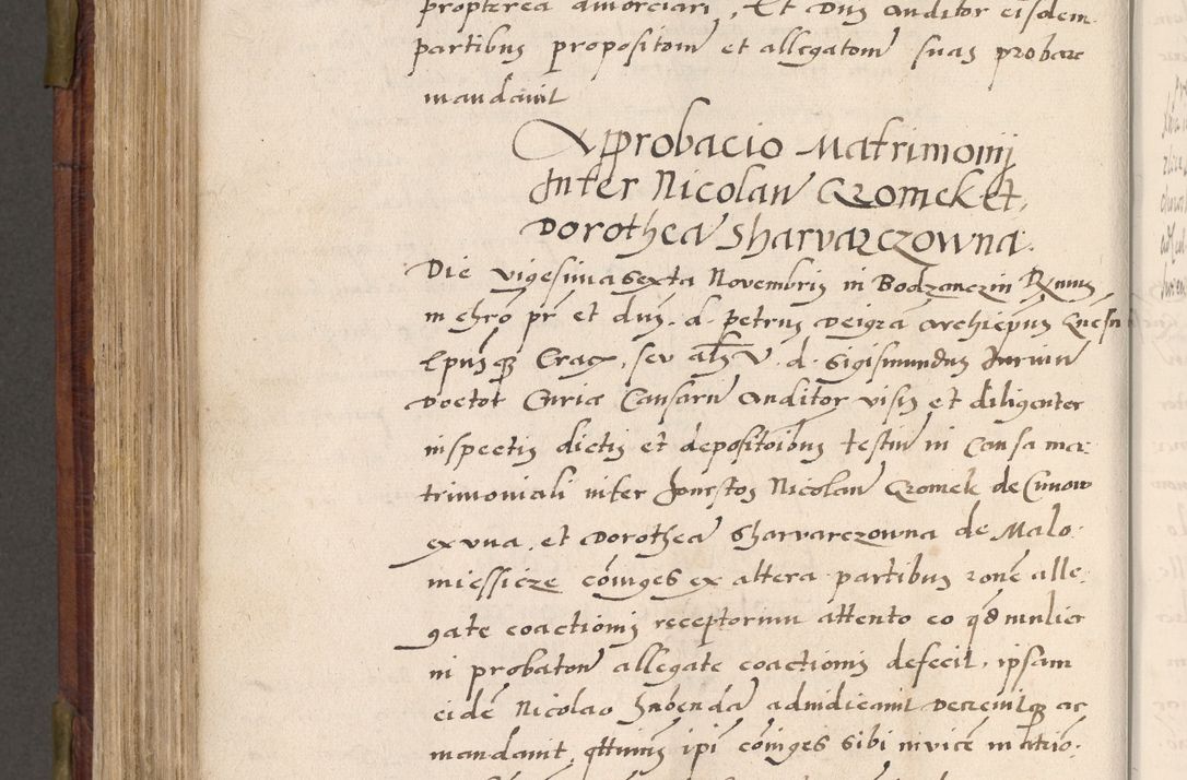 Zdjęcie nr 597 dla obiektu archiwalnego: Acta actorum coram R. D. Petro de Gamratis, nominati archiepiscopi Gnesnensis, episcopi Cracoviensis per annos 1541 et 1542 acticatorum, praesidente tunc curiase suae R. D. Bartholomaeo Gantkowski, canonico Cracoviensi, Posnaniensi cancellario, parochialis in Konopisca etc. rectore.