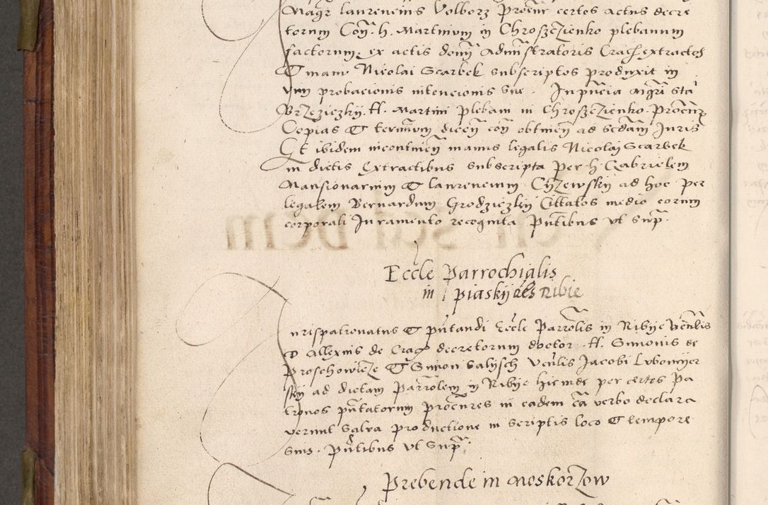 Zdjęcie nr 579 dla obiektu archiwalnego: Acta actorum coram R. D. Petro de Gamratis, nominati archiepiscopi Gnesnensis, episcopi Cracoviensis per annos 1541 et 1542 acticatorum, praesidente tunc curiase suae R. D. Bartholomaeo Gantkowski, canonico Cracoviensi, Posnaniensi cancellario, parochialis in Konopisca etc. rectore.