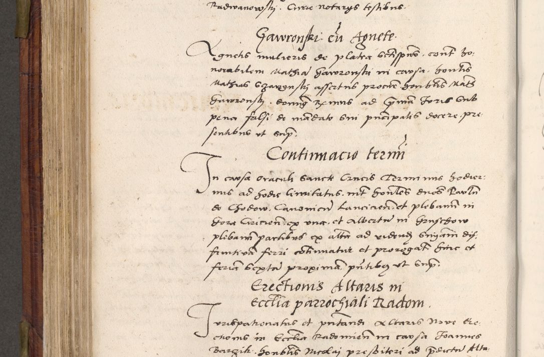 Zdjęcie nr 545 dla obiektu archiwalnego: Acta actorum coram R. D. Petro de Gamratis, nominati archiepiscopi Gnesnensis, episcopi Cracoviensis per annos 1541 et 1542 acticatorum, praesidente tunc curiase suae R. D. Bartholomaeo Gantkowski, canonico Cracoviensi, Posnaniensi cancellario, parochialis in Konopisca etc. rectore.