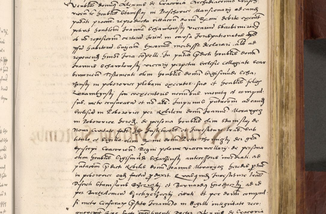 Zdjęcie nr 494 dla obiektu archiwalnego: Acta actorum coram R. D. Petro de Gamratis, nominati archiepiscopi Gnesnensis, episcopi Cracoviensis per annos 1541 et 1542 acticatorum, praesidente tunc curiase suae R. D. Bartholomaeo Gantkowski, canonico Cracoviensi, Posnaniensi cancellario, parochialis in Konopisca etc. rectore.