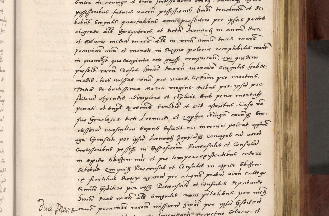Zdjęcie nr 446 dla obiektu archiwalnego: Acta actorum coram R. D. Petro de Gamratis, nominati archiepiscopi Gnesnensis, episcopi Cracoviensis per annos 1541 et 1542 acticatorum, praesidente tunc curiase suae R. D. Bartholomaeo Gantkowski, canonico Cracoviensi, Posnaniensi cancellario, parochialis in Konopisca etc. rectore.