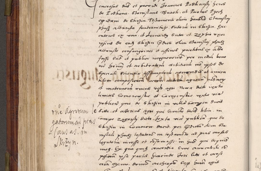 Zdjęcie nr 445 dla obiektu archiwalnego: Acta actorum coram R. D. Petro de Gamratis, nominati archiepiscopi Gnesnensis, episcopi Cracoviensis per annos 1541 et 1542 acticatorum, praesidente tunc curiase suae R. D. Bartholomaeo Gantkowski, canonico Cracoviensi, Posnaniensi cancellario, parochialis in Konopisca etc. rectore.