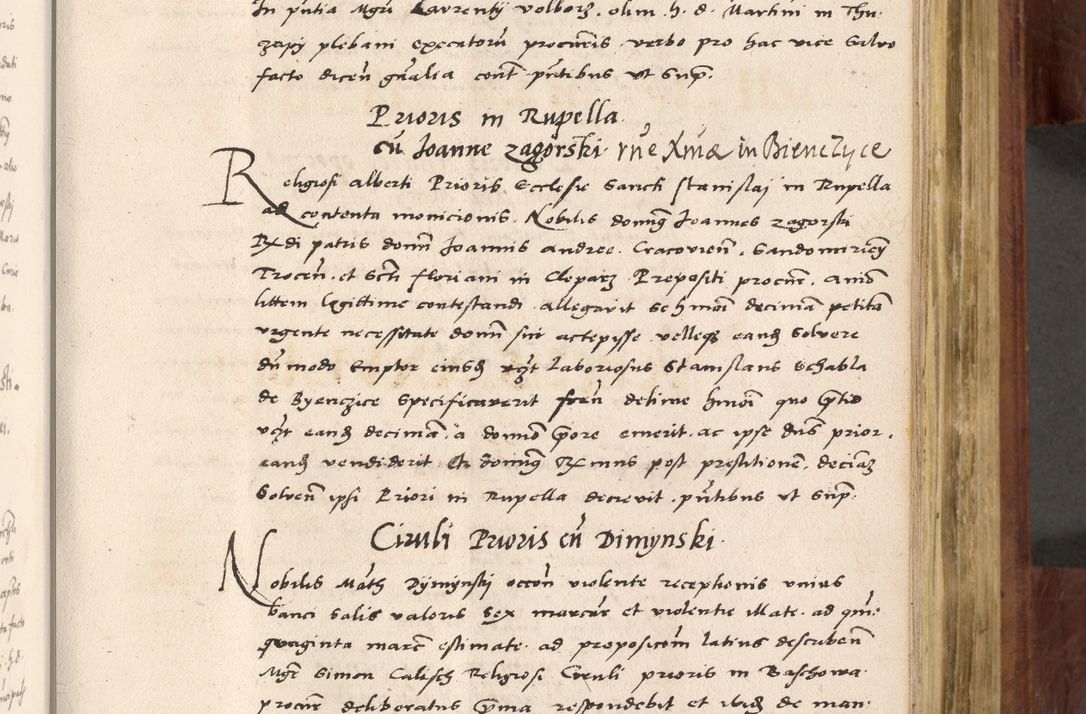 Zdjęcie nr 436 dla obiektu archiwalnego: Acta actorum coram R. D. Petro de Gamratis, nominati archiepiscopi Gnesnensis, episcopi Cracoviensis per annos 1541 et 1542 acticatorum, praesidente tunc curiase suae R. D. Bartholomaeo Gantkowski, canonico Cracoviensi, Posnaniensi cancellario, parochialis in Konopisca etc. rectore.