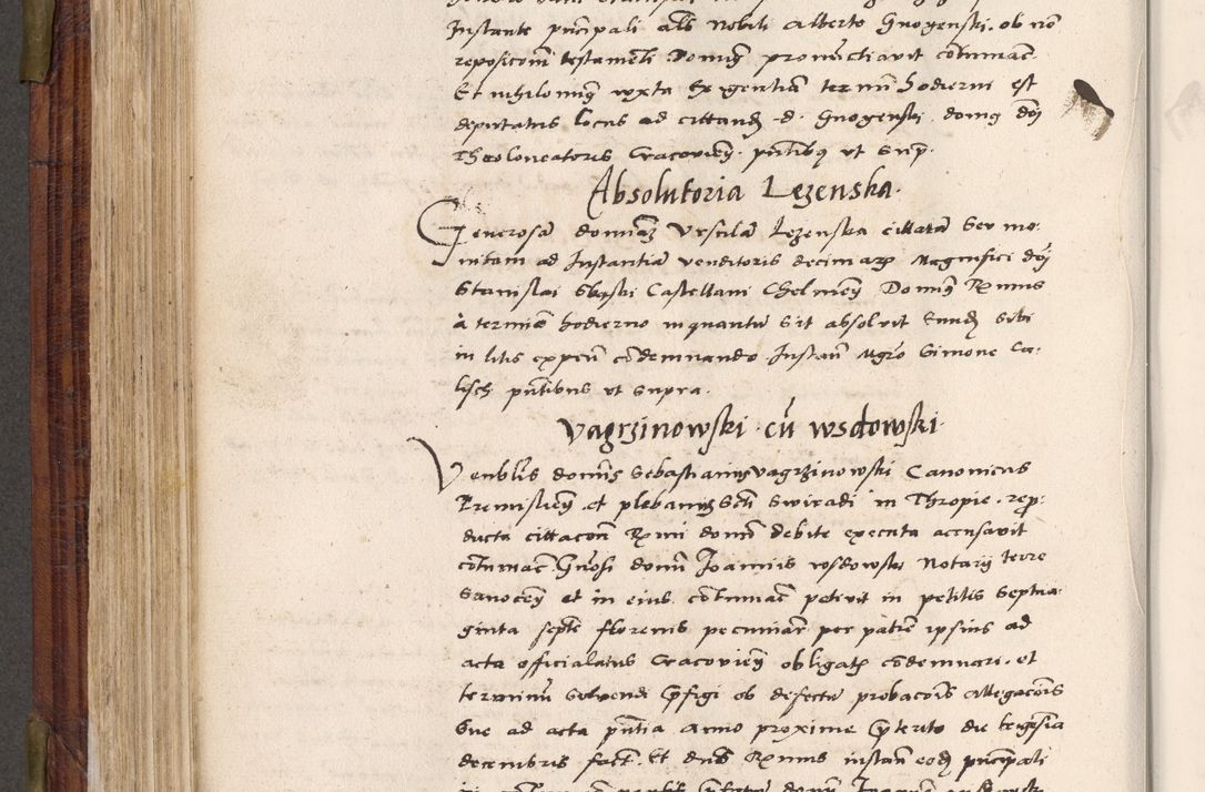Zdjęcie nr 411 dla obiektu archiwalnego: Acta actorum coram R. D. Petro de Gamratis, nominati archiepiscopi Gnesnensis, episcopi Cracoviensis per annos 1541 et 1542 acticatorum, praesidente tunc curiase suae R. D. Bartholomaeo Gantkowski, canonico Cracoviensi, Posnaniensi cancellario, parochialis in Konopisca etc. rectore.