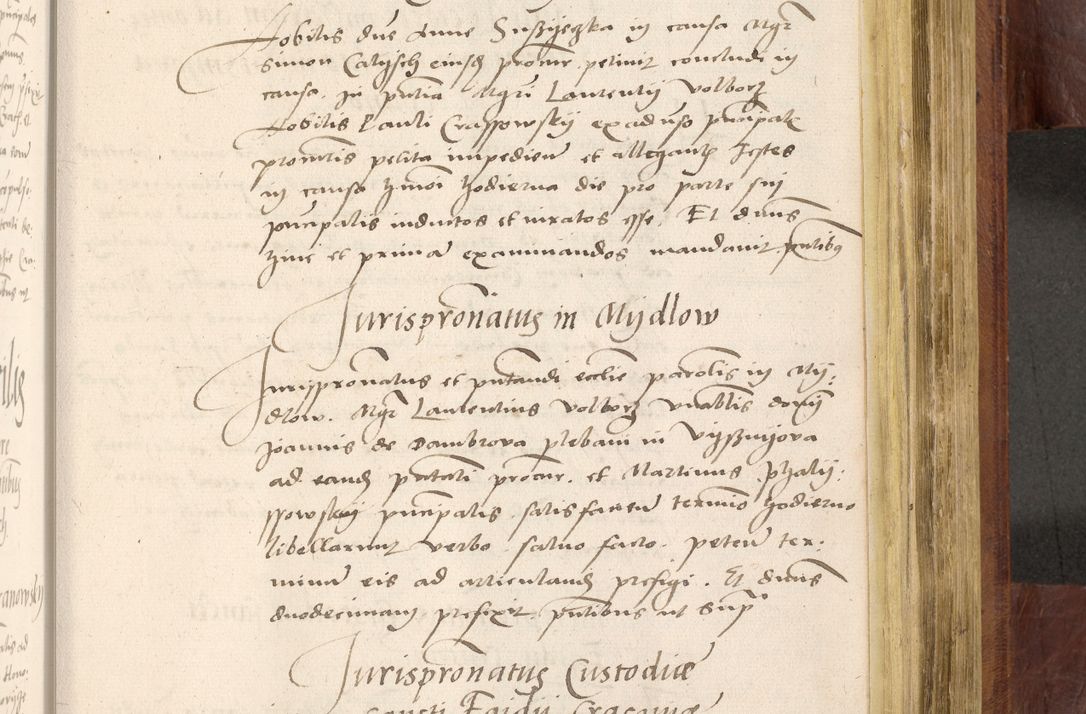 Zdjęcie nr 808 dla obiektu archiwalnego: Acta actorum coram R. D. Petro de Gamratis, nominati archiepiscopi Gnesnensis, episcopi Cracoviensis per annos 1541 et 1542 acticatorum, praesidente tunc curiase suae R. D. Bartholomaeo Gantkowski, canonico Cracoviensi, Posnaniensi cancellario, parochialis in Konopisca etc. rectore.