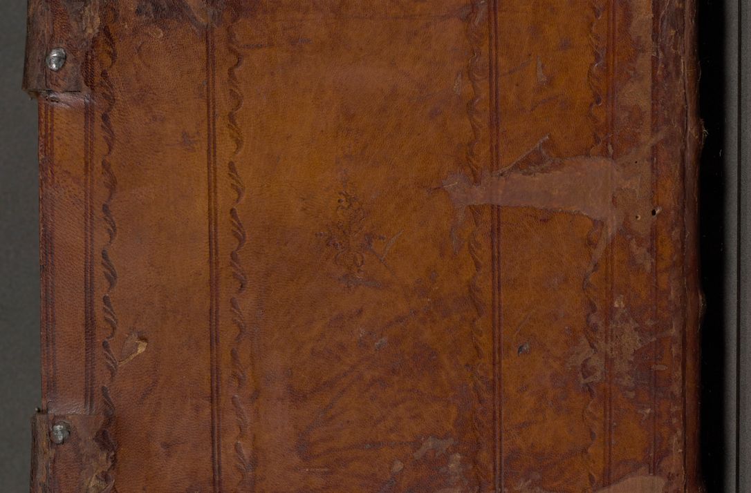 Zdjęcie nr 2 dla obiektu archiwalnego: Acta actorum coram R. D. Petro de Gamratis, nominati archiepiscopi Gnesnensis, episcopi Cracoviensis per annos 1541 et 1542 acticatorum, praesidente tunc curiase suae R. D. Bartholomaeo Gantkowski, canonico Cracoviensi, Posnaniensi cancellario, parochialis in Konopisca etc. rectore.