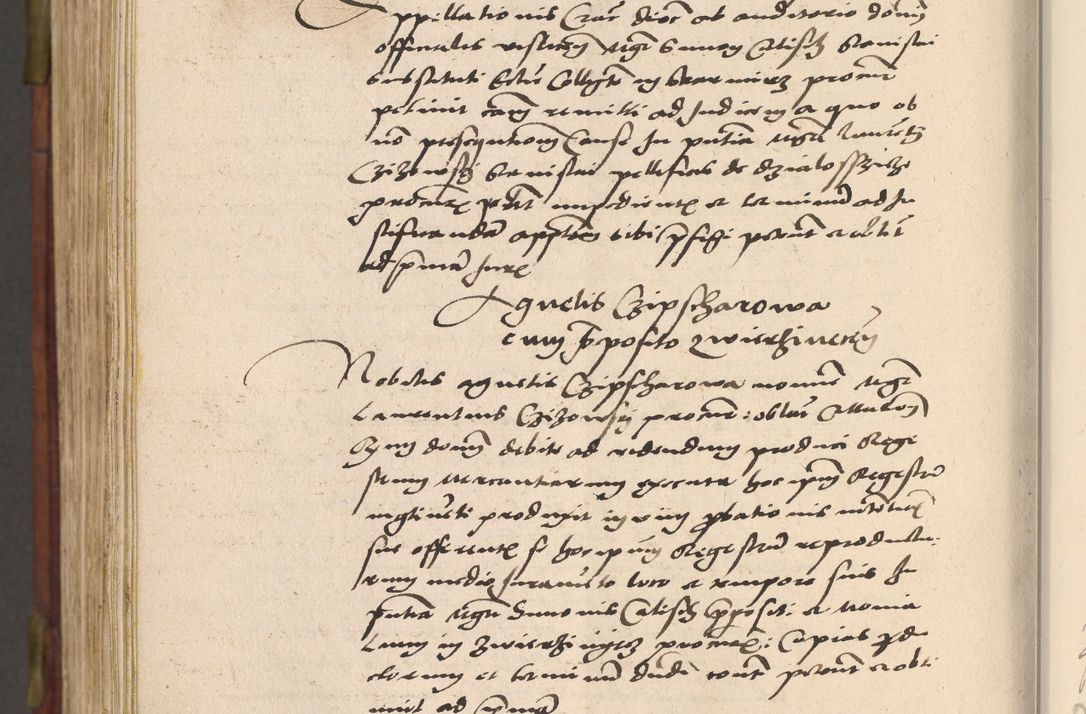 Zdjęcie nr 1115 dla obiektu archiwalnego: Acta actorum coram R. D. Petro de Gamratis, nominati archiepiscopi Gnesnensis, episcopi Cracoviensis per annos 1541 et 1542 acticatorum, praesidente tunc curiase suae R. D. Bartholomaeo Gantkowski, canonico Cracoviensi, Posnaniensi cancellario, parochialis in Konopisca etc. rectore.