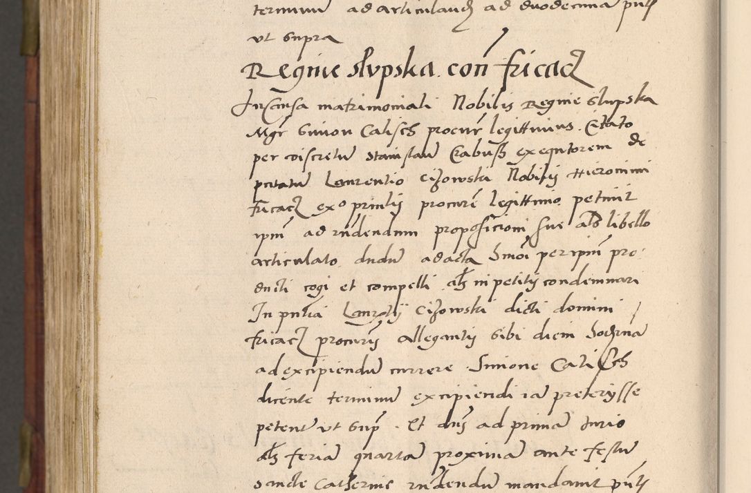 Zdjęcie nr 1081 dla obiektu archiwalnego: Acta actorum coram R. D. Petro de Gamratis, nominati archiepiscopi Gnesnensis, episcopi Cracoviensis per annos 1541 et 1542 acticatorum, praesidente tunc curiase suae R. D. Bartholomaeo Gantkowski, canonico Cracoviensi, Posnaniensi cancellario, parochialis in Konopisca etc. rectore.
