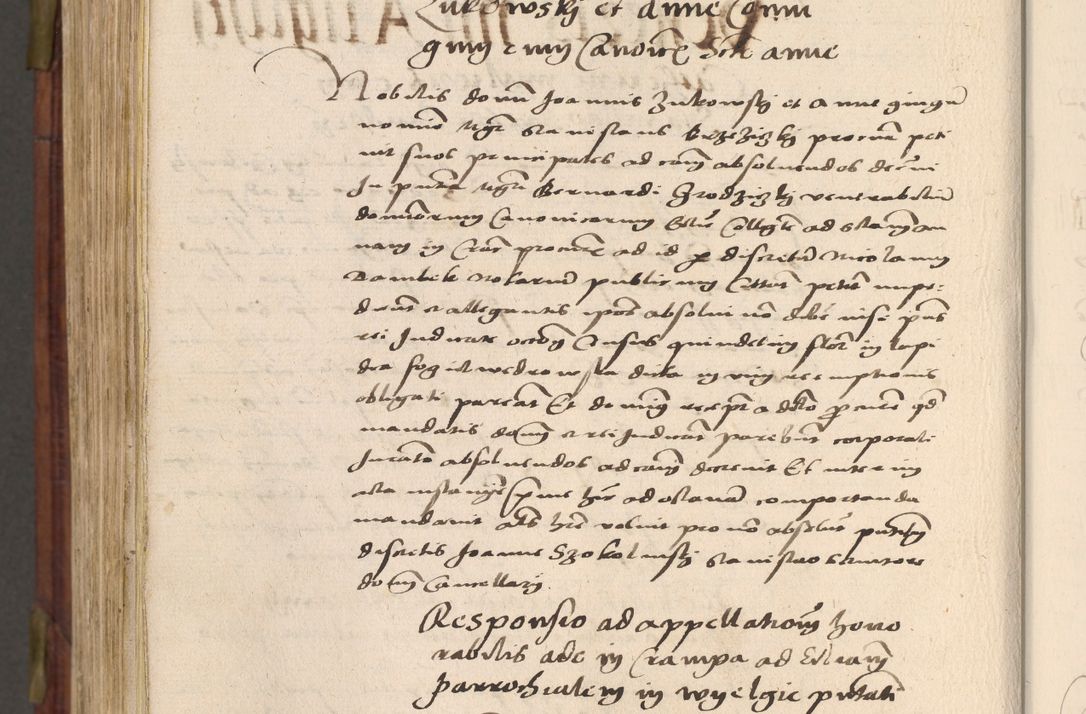Zdjęcie nr 961 dla obiektu archiwalnego: Acta actorum coram R. D. Petro de Gamratis, nominati archiepiscopi Gnesnensis, episcopi Cracoviensis per annos 1541 et 1542 acticatorum, praesidente tunc curiase suae R. D. Bartholomaeo Gantkowski, canonico Cracoviensi, Posnaniensi cancellario, parochialis in Konopisca etc. rectore.