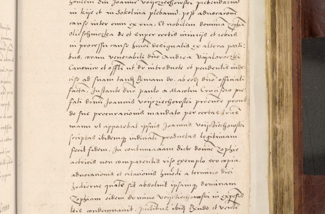 Zdjęcie nr 864 dla obiektu archiwalnego: Acta actorum coram R. D. Petro de Gamratis, nominati archiepiscopi Gnesnensis, episcopi Cracoviensis per annos 1541 et 1542 acticatorum, praesidente tunc curiase suae R. D. Bartholomaeo Gantkowski, canonico Cracoviensi, Posnaniensi cancellario, parochialis in Konopisca etc. rectore.