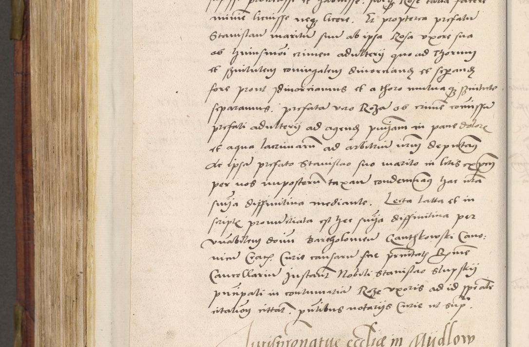 Zdjęcie nr 851 dla obiektu archiwalnego: Acta actorum coram R. D. Petro de Gamratis, nominati archiepiscopi Gnesnensis, episcopi Cracoviensis per annos 1541 et 1542 acticatorum, praesidente tunc curiase suae R. D. Bartholomaeo Gantkowski, canonico Cracoviensi, Posnaniensi cancellario, parochialis in Konopisca etc. rectore.