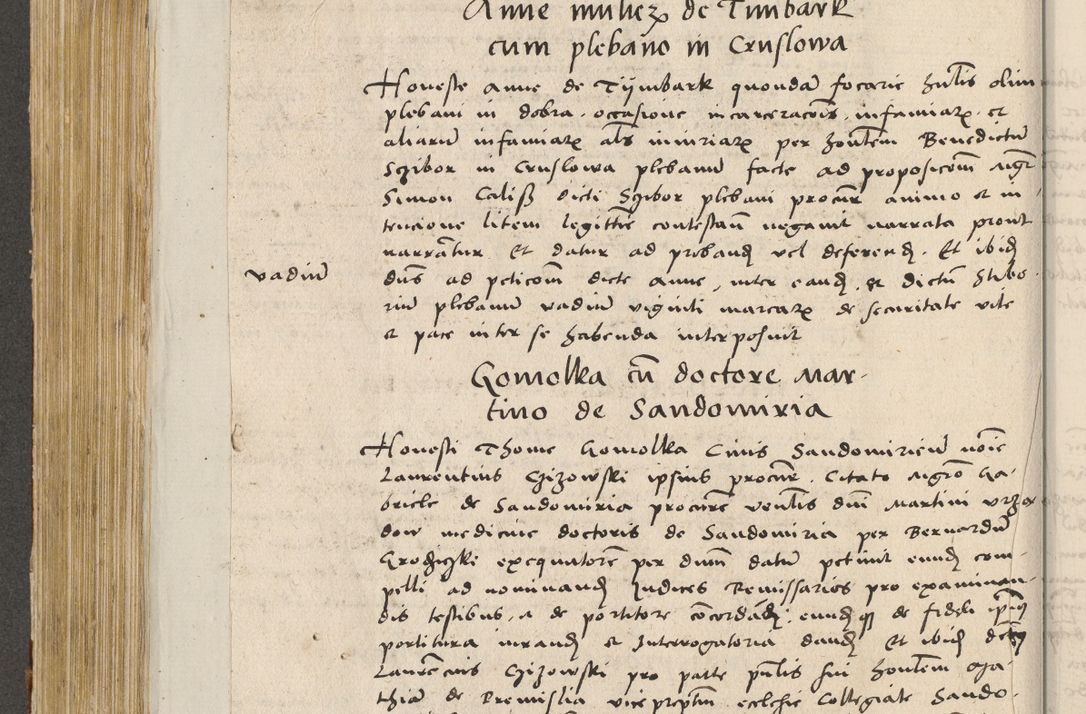 Zdjęcie nr 321 dla obiektu archiwalnego: Acta actorum coram R. D. Petro de Gamratis, archiepiscopo Gnesnensi et episcopo Cracoviensi, Legato nato ac Regni Poloniae primate ad annum 1543 - praesidente tunc Suae Rever. Paternitatis curiae cancellario R. D. Bartholomaeo Gantkowski, Posnaniensi et curiae nostrae cancellario.