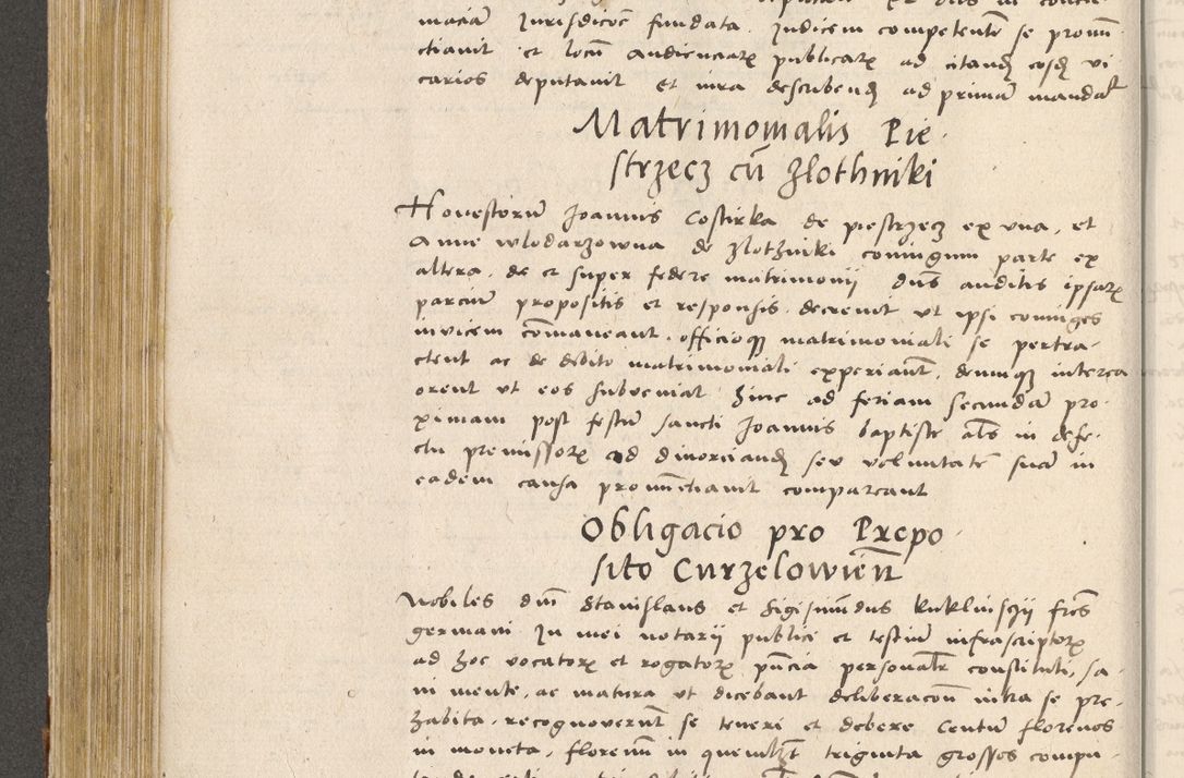 Zdjęcie nr 305 dla obiektu archiwalnego: Acta actorum coram R. D. Petro de Gamratis, archiepiscopo Gnesnensi et episcopo Cracoviensi, Legato nato ac Regni Poloniae primate ad annum 1543 - praesidente tunc Suae Rever. Paternitatis curiae cancellario R. D. Bartholomaeo Gantkowski, Posnaniensi et curiae nostrae cancellario.