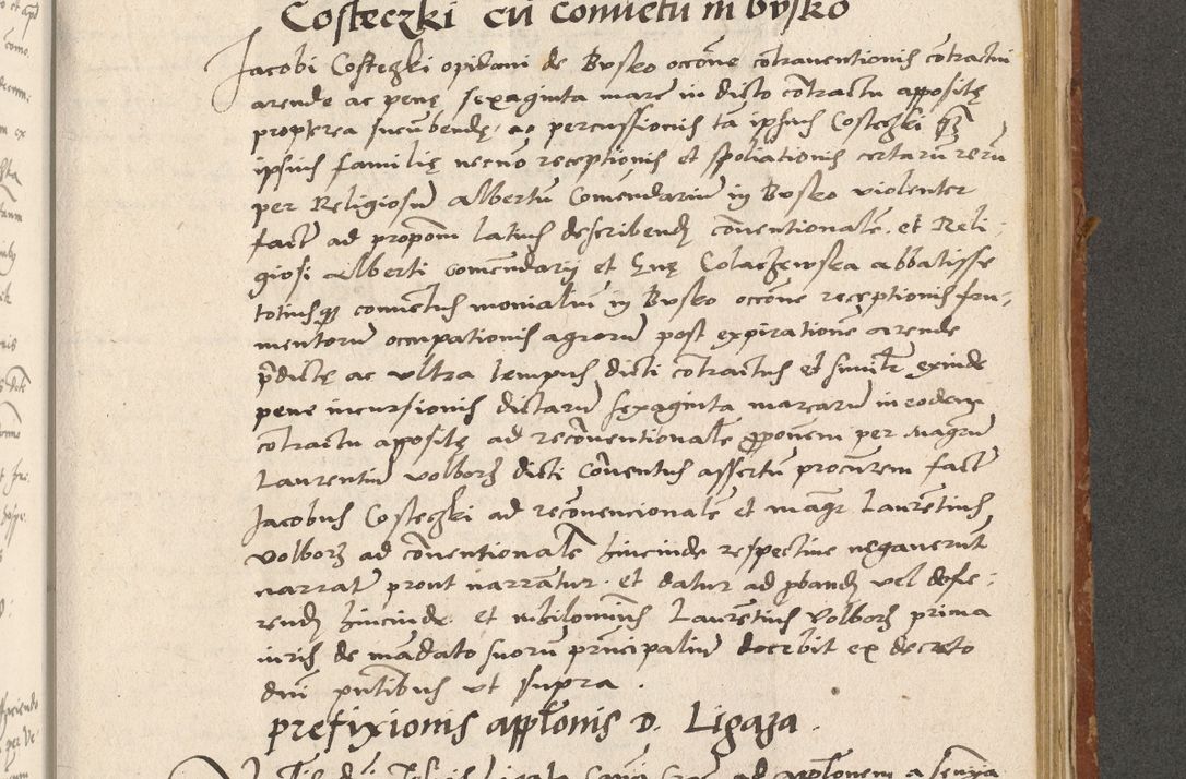 Zdjęcie nr 284 dla obiektu archiwalnego: Acta actorum coram R. D. Petro de Gamratis, archiepiscopo Gnesnensi et episcopo Cracoviensi, Legato nato ac Regni Poloniae primate ad annum 1543 - praesidente tunc Suae Rever. Paternitatis curiae cancellario R. D. Bartholomaeo Gantkowski, Posnaniensi et curiae nostrae cancellario.