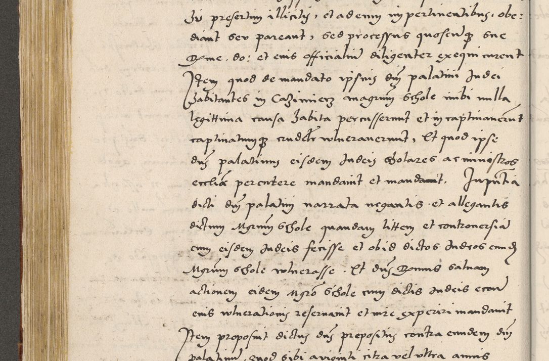 Zdjęcie nr 251 dla obiektu archiwalnego: Acta actorum coram R. D. Petro de Gamratis, archiepiscopo Gnesnensi et episcopo Cracoviensi, Legato nato ac Regni Poloniae primate ad annum 1543 - praesidente tunc Suae Rever. Paternitatis curiae cancellario R. D. Bartholomaeo Gantkowski, Posnaniensi et curiae nostrae cancellario.