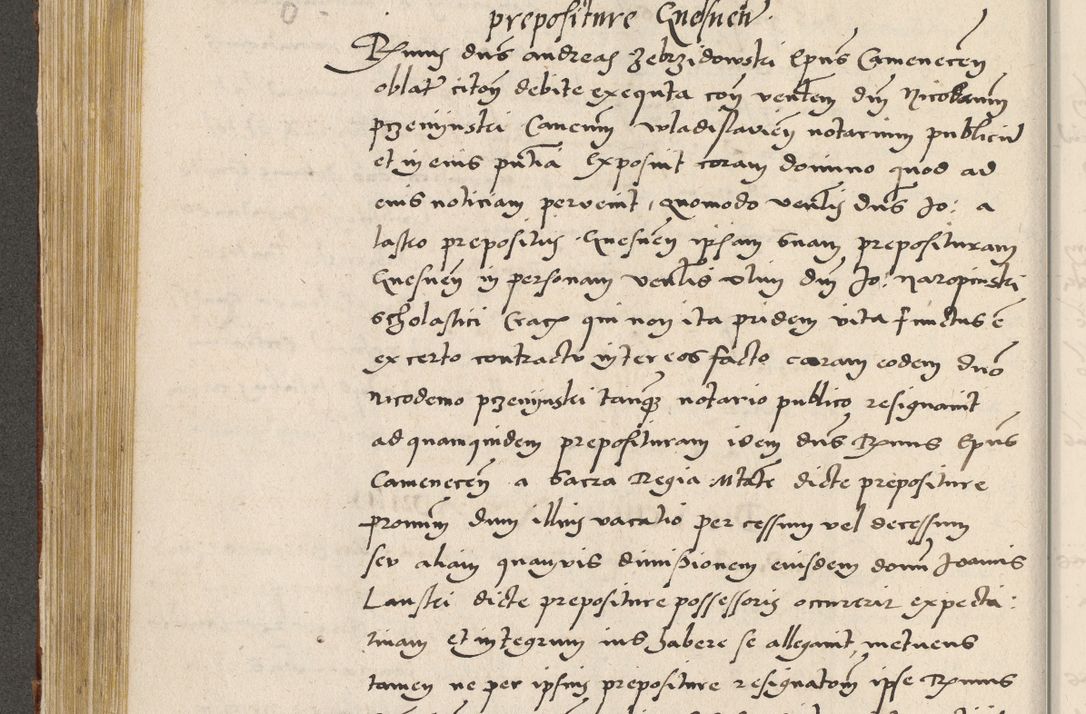 Zdjęcie nr 253 dla obiektu archiwalnego: Acta actorum coram R. D. Petro de Gamratis, archiepiscopo Gnesnensi et episcopo Cracoviensi, Legato nato ac Regni Poloniae primate ad annum 1543 - praesidente tunc Suae Rever. Paternitatis curiae cancellario R. D. Bartholomaeo Gantkowski, Posnaniensi et curiae nostrae cancellario.