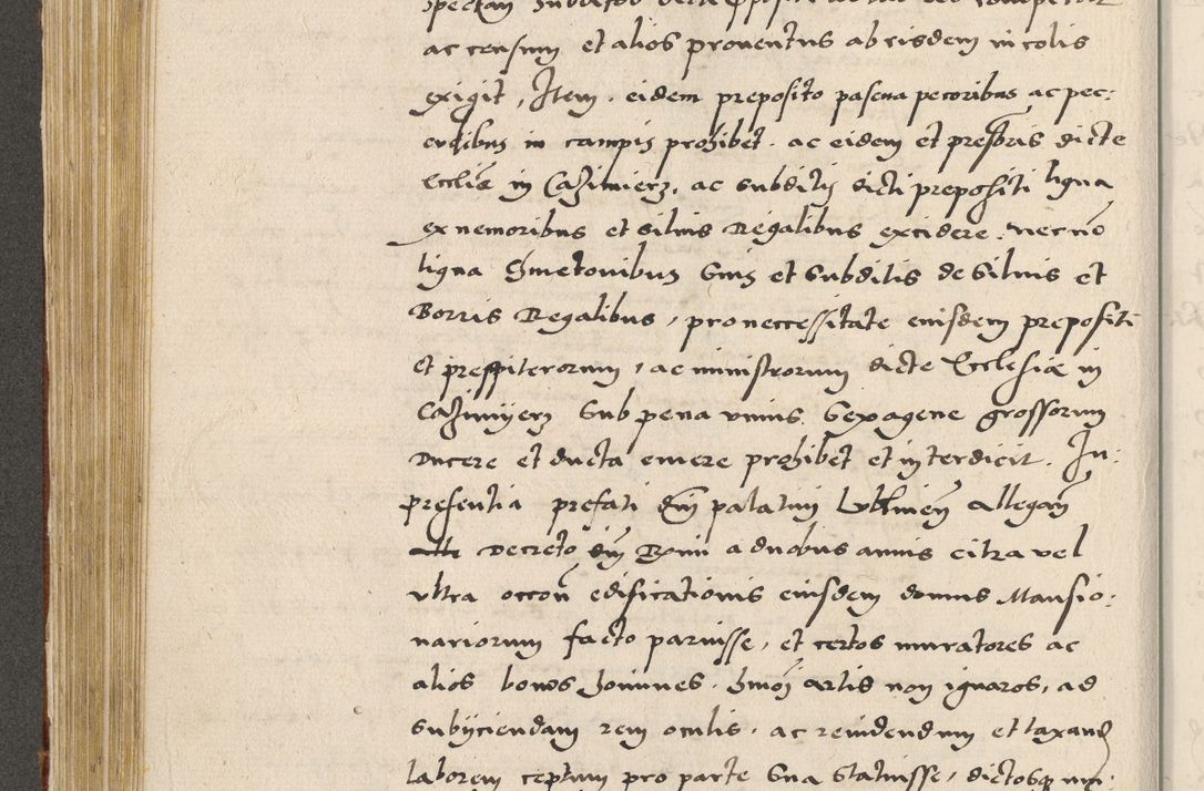 Zdjęcie nr 247 dla obiektu archiwalnego: Acta actorum coram R. D. Petro de Gamratis, archiepiscopo Gnesnensi et episcopo Cracoviensi, Legato nato ac Regni Poloniae primate ad annum 1543 - praesidente tunc Suae Rever. Paternitatis curiae cancellario R. D. Bartholomaeo Gantkowski, Posnaniensi et curiae nostrae cancellario.