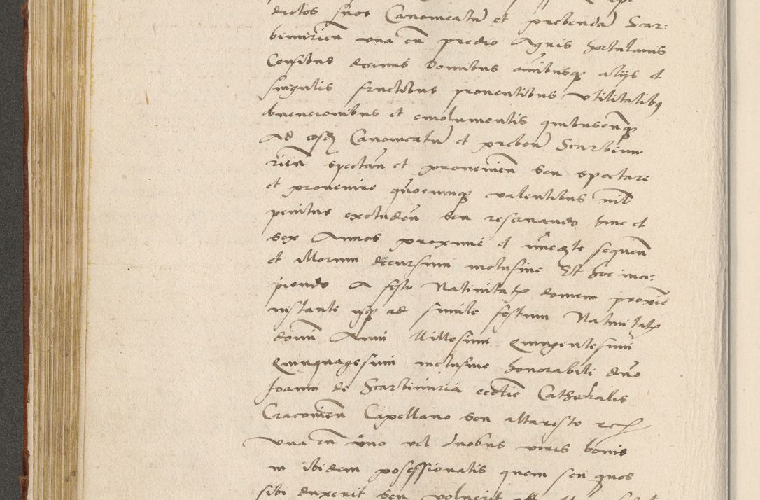 Zdjęcie nr 193 dla obiektu archiwalnego: Acta actorum coram R. D. Petro de Gamratis, archiepiscopo Gnesnensi et episcopo Cracoviensi, Legato nato ac Regni Poloniae primate ad annum 1543 - praesidente tunc Suae Rever. Paternitatis curiae cancellario R. D. Bartholomaeo Gantkowski, Posnaniensi et curiae nostrae cancellario.