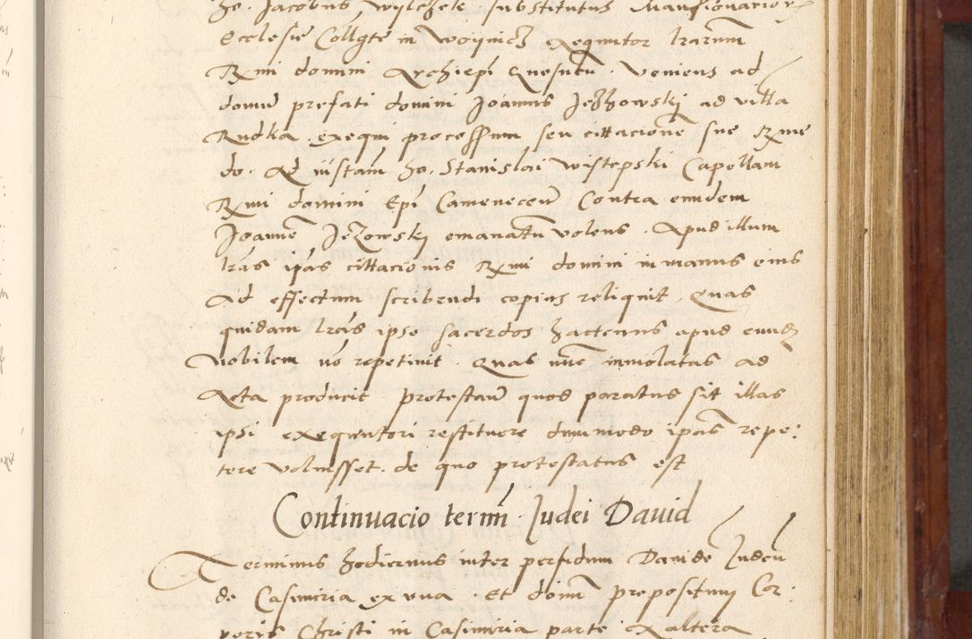 Zdjęcie nr 356 dla obiektu archiwalnego: Acta actorum coram R. D. Petro de Gamratis, archiepiscopo Gnesnensi et episcopo Cracoviensi, Legato nato et Regni Poloniar primate ad a. D. 1544 et 1545 acticatorum - praesidente tunc Suae Rev. Paternitatis curiae cancellario R. D. Bertholomaeo Gantkowski, archidiacono Cracoviensi, Gnesnensi et Posnaniensi canonico.