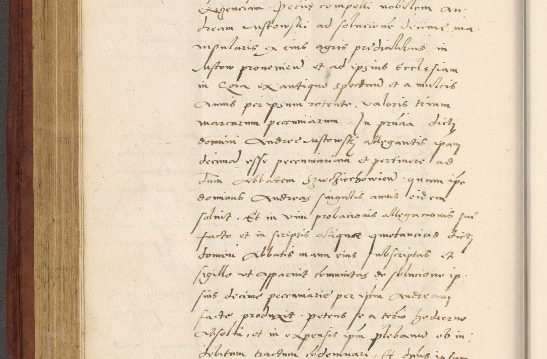 Zdjęcie nr 347 dla obiektu archiwalnego: Acta actorum coram R. D. Petro de Gamratis, archiepiscopo Gnesnensi et episcopo Cracoviensi, Legato nato et Regni Poloniar primate ad a. D. 1544 et 1545 acticatorum - praesidente tunc Suae Rev. Paternitatis curiae cancellario R. D. Bertholomaeo Gantkowski, archidiacono Cracoviensi, Gnesnensi et Posnaniensi canonico.
