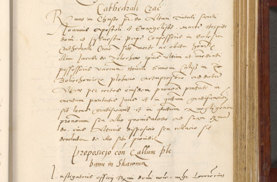 Zdjęcie nr 316 dla obiektu archiwalnego: Acta actorum coram R. D. Petro de Gamratis, archiepiscopo Gnesnensi et episcopo Cracoviensi, Legato nato et Regni Poloniar primate ad a. D. 1544 et 1545 acticatorum - praesidente tunc Suae Rev. Paternitatis curiae cancellario R. D. Bertholomaeo Gantkowski, archidiacono Cracoviensi, Gnesnensi et Posnaniensi canonico.