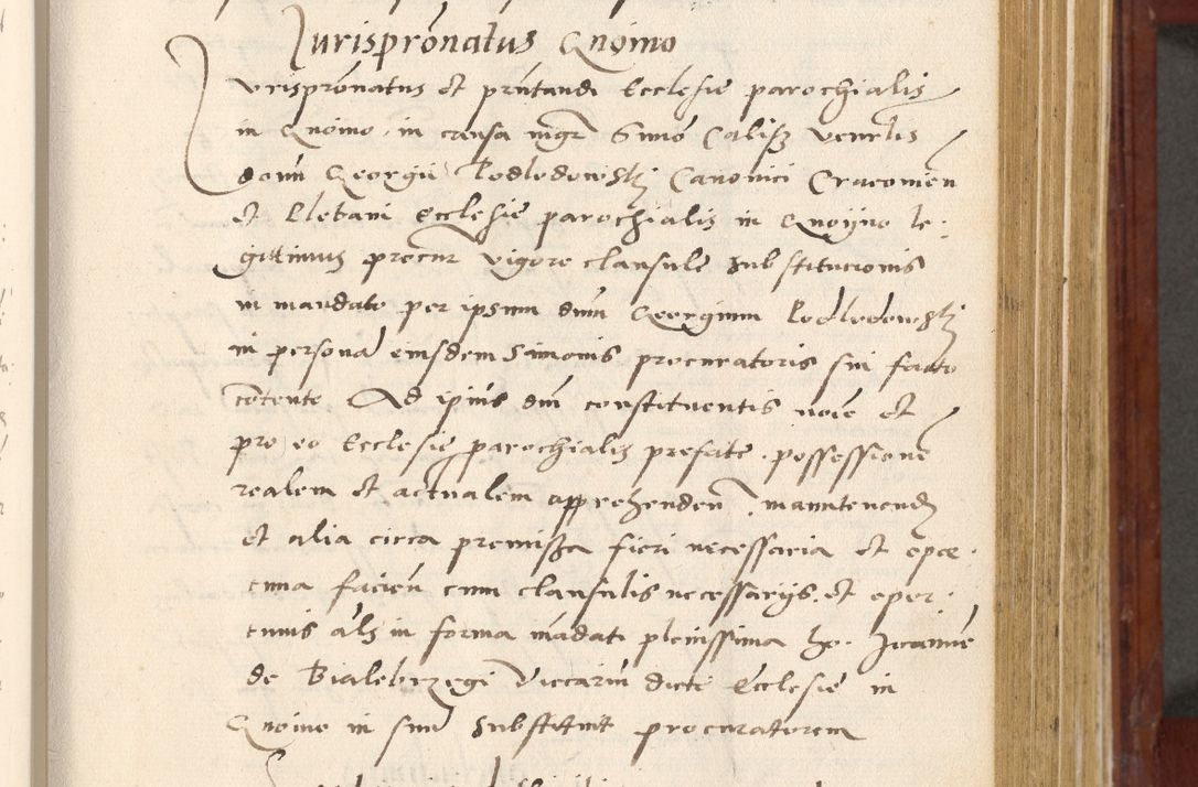 Zdjęcie nr 254 dla obiektu archiwalnego: Acta actorum coram R. D. Petro de Gamratis, archiepiscopo Gnesnensi et episcopo Cracoviensi, Legato nato et Regni Poloniar primate ad a. D. 1544 et 1545 acticatorum - praesidente tunc Suae Rev. Paternitatis curiae cancellario R. D. Bertholomaeo Gantkowski, archidiacono Cracoviensi, Gnesnensi et Posnaniensi canonico.