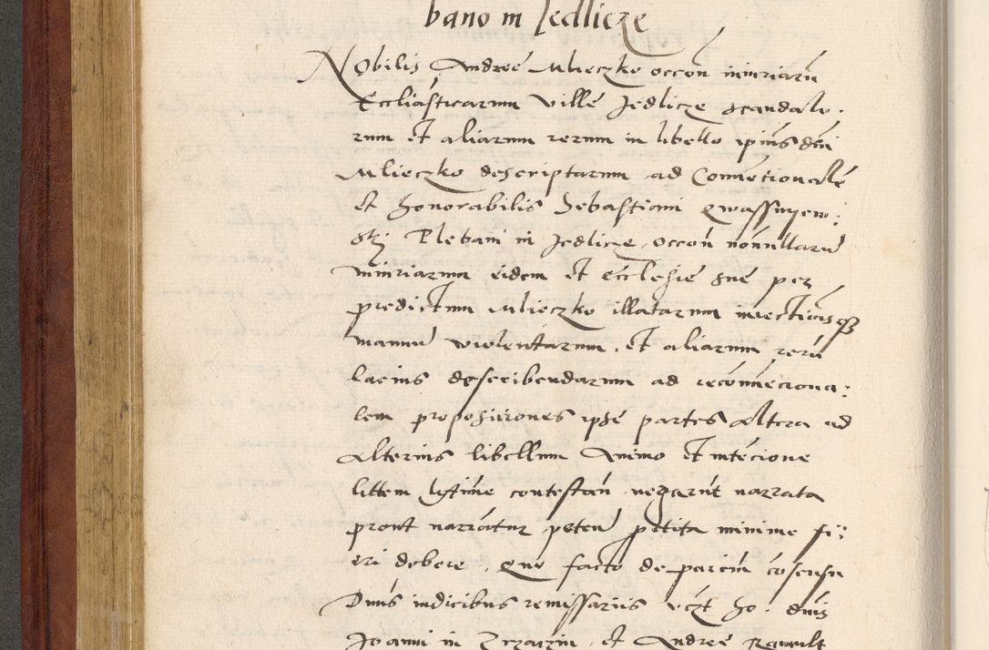 Zdjęcie nr 227 dla obiektu archiwalnego: Acta actorum coram R. D. Petro de Gamratis, archiepiscopo Gnesnensi et episcopo Cracoviensi, Legato nato et Regni Poloniar primate ad a. D. 1544 et 1545 acticatorum - praesidente tunc Suae Rev. Paternitatis curiae cancellario R. D. Bertholomaeo Gantkowski, archidiacono Cracoviensi, Gnesnensi et Posnaniensi canonico.