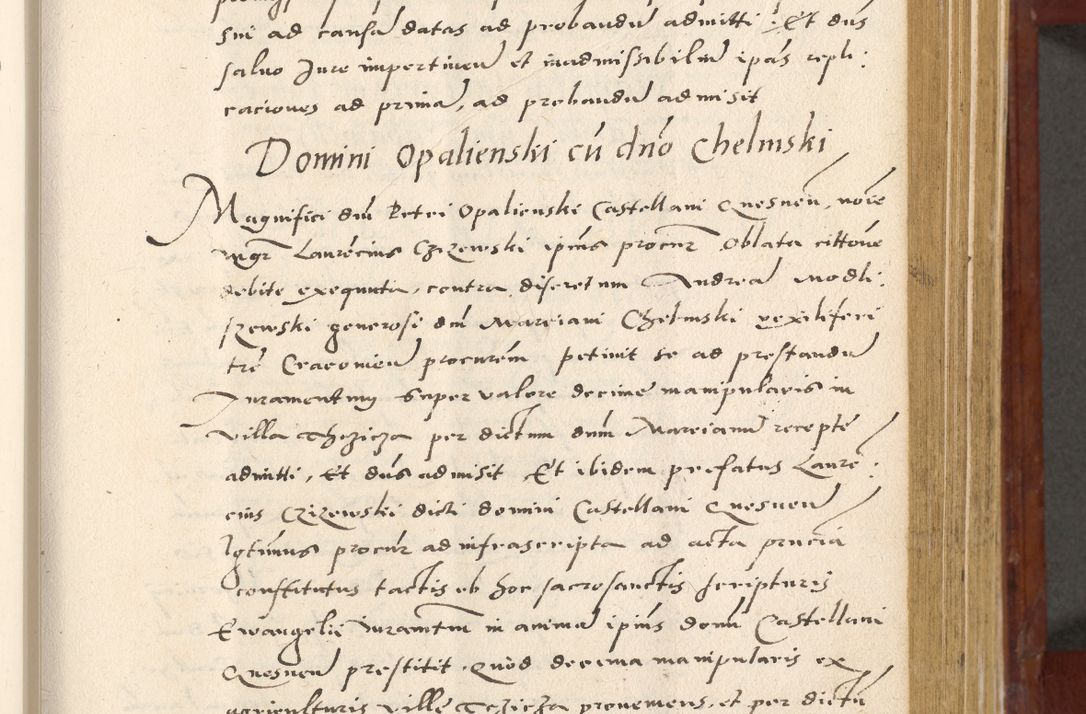 Zdjęcie nr 212 dla obiektu archiwalnego: Acta actorum coram R. D. Petro de Gamratis, archiepiscopo Gnesnensi et episcopo Cracoviensi, Legato nato et Regni Poloniar primate ad a. D. 1544 et 1545 acticatorum - praesidente tunc Suae Rev. Paternitatis curiae cancellario R. D. Bertholomaeo Gantkowski, archidiacono Cracoviensi, Gnesnensi et Posnaniensi canonico.