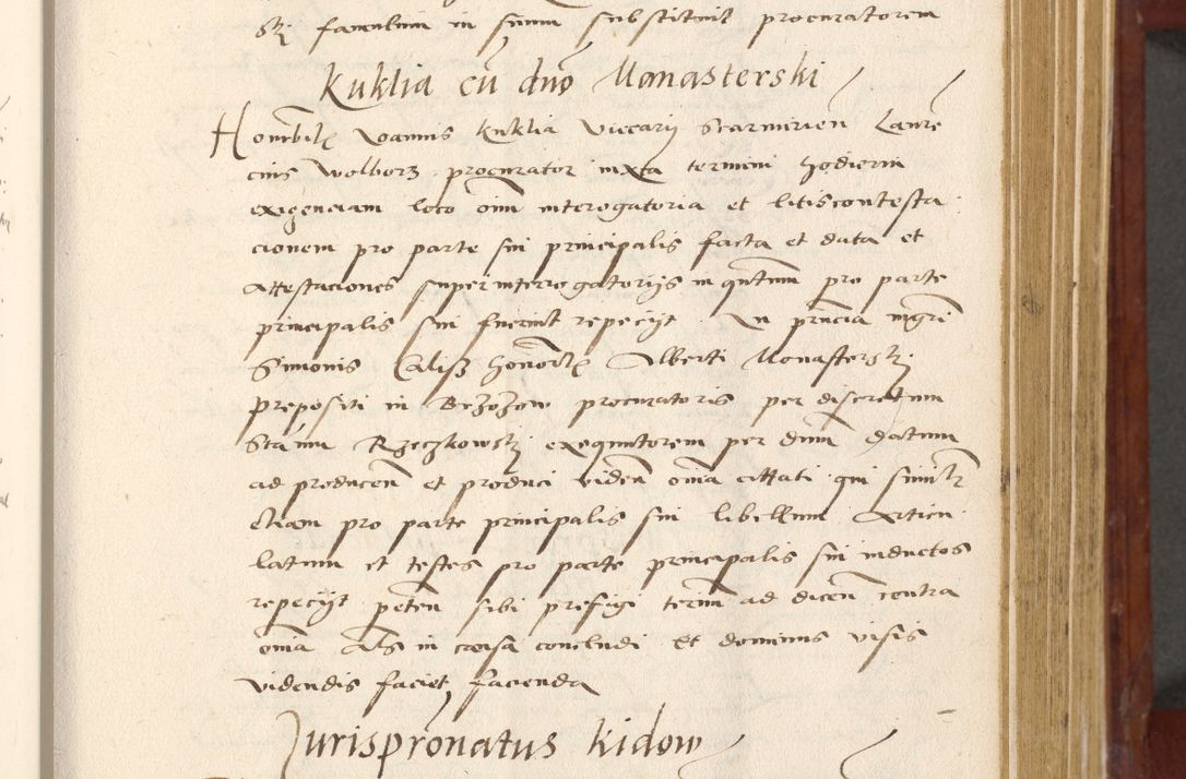 Zdjęcie nr 166 dla obiektu archiwalnego: Acta actorum coram R. D. Petro de Gamratis, archiepiscopo Gnesnensi et episcopo Cracoviensi, Legato nato et Regni Poloniar primate ad a. D. 1544 et 1545 acticatorum - praesidente tunc Suae Rev. Paternitatis curiae cancellario R. D. Bertholomaeo Gantkowski, archidiacono Cracoviensi, Gnesnensi et Posnaniensi canonico.