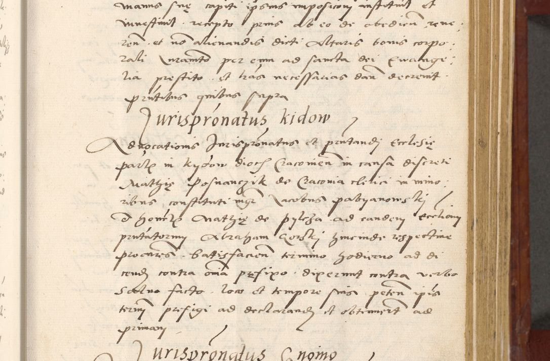Zdjęcie nr 136 dla obiektu archiwalnego: Acta actorum coram R. D. Petro de Gamratis, archiepiscopo Gnesnensi et episcopo Cracoviensi, Legato nato et Regni Poloniar primate ad a. D. 1544 et 1545 acticatorum - praesidente tunc Suae Rev. Paternitatis curiae cancellario R. D. Bertholomaeo Gantkowski, archidiacono Cracoviensi, Gnesnensi et Posnaniensi canonico.