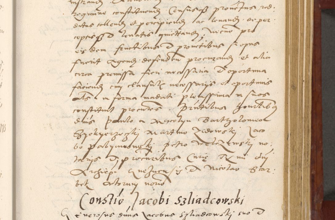 Zdjęcie nr 134 dla obiektu archiwalnego: Acta actorum coram R. D. Petro de Gamratis, archiepiscopo Gnesnensi et episcopo Cracoviensi, Legato nato et Regni Poloniar primate ad a. D. 1544 et 1545 acticatorum - praesidente tunc Suae Rev. Paternitatis curiae cancellario R. D. Bertholomaeo Gantkowski, archidiacono Cracoviensi, Gnesnensi et Posnaniensi canonico.