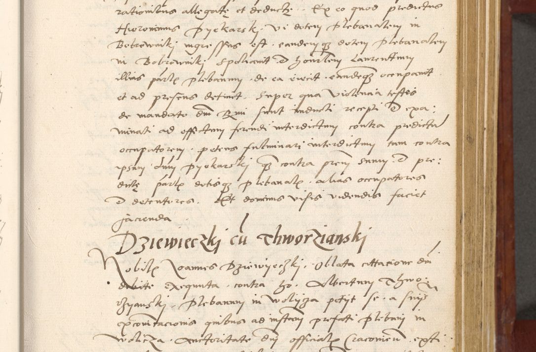 Zdjęcie nr 126 dla obiektu archiwalnego: Acta actorum coram R. D. Petro de Gamratis, archiepiscopo Gnesnensi et episcopo Cracoviensi, Legato nato et Regni Poloniar primate ad a. D. 1544 et 1545 acticatorum - praesidente tunc Suae Rev. Paternitatis curiae cancellario R. D. Bertholomaeo Gantkowski, archidiacono Cracoviensi, Gnesnensi et Posnaniensi canonico.