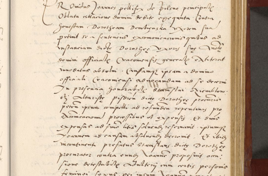 Zdjęcie nr 26 dla obiektu archiwalnego: Acta actorum coram R. D. Petro de Gamratis, archiepiscopo Gnesnensi et episcopo Cracoviensi, Legato nato et Regni Poloniar primate ad a. D. 1544 et 1545 acticatorum - praesidente tunc Suae Rev. Paternitatis curiae cancellario R. D. Bertholomaeo Gantkowski, archidiacono Cracoviensi, Gnesnensi et Posnaniensi canonico.